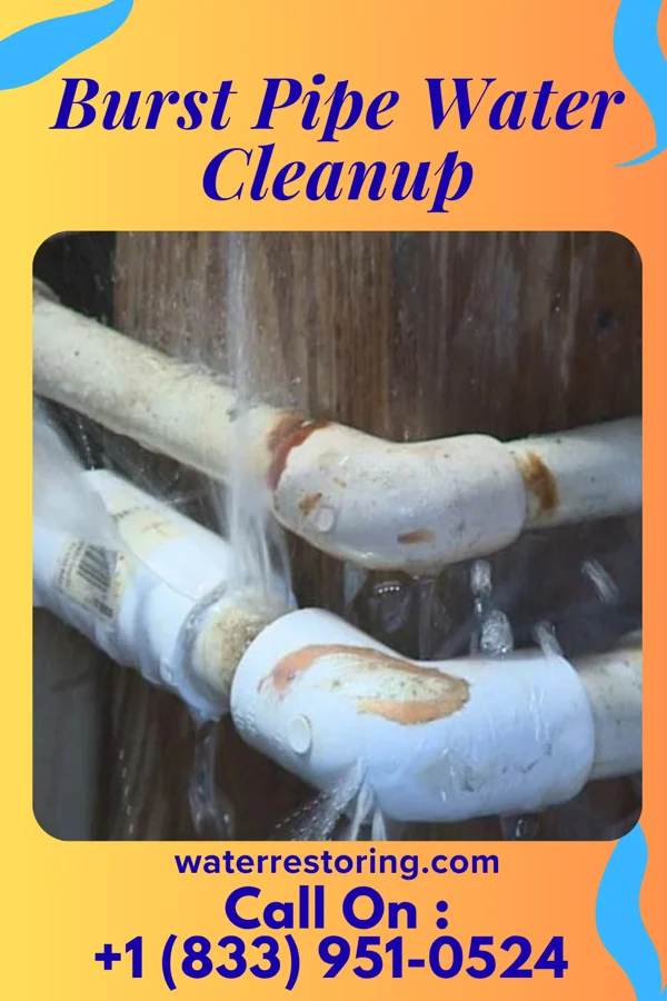Burst Pipe Water Cleanup in West Sunbury, PA