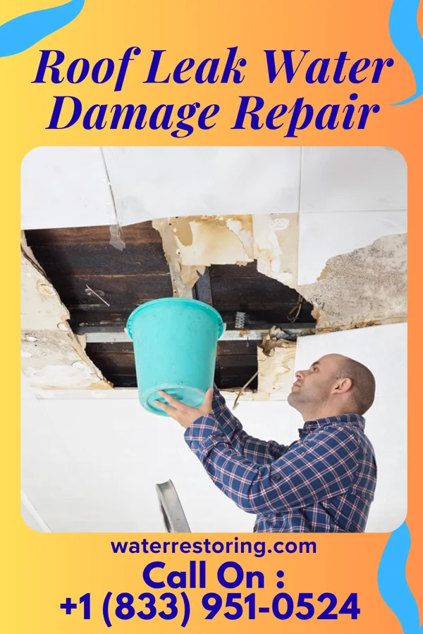 Roof Leak Water Damage Repair in West Sunbury, PA