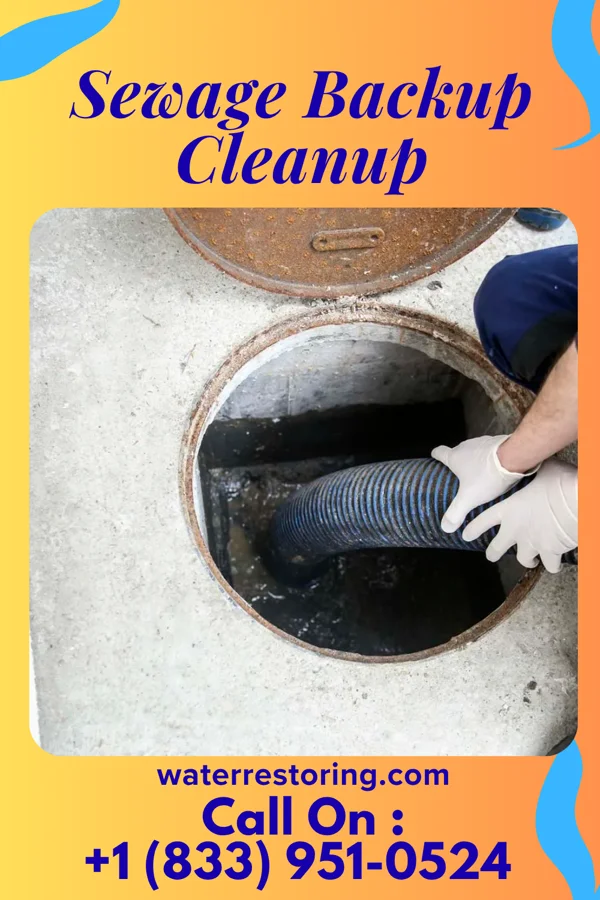 Sewage Backup Cleanup in West Sunbury, PA
