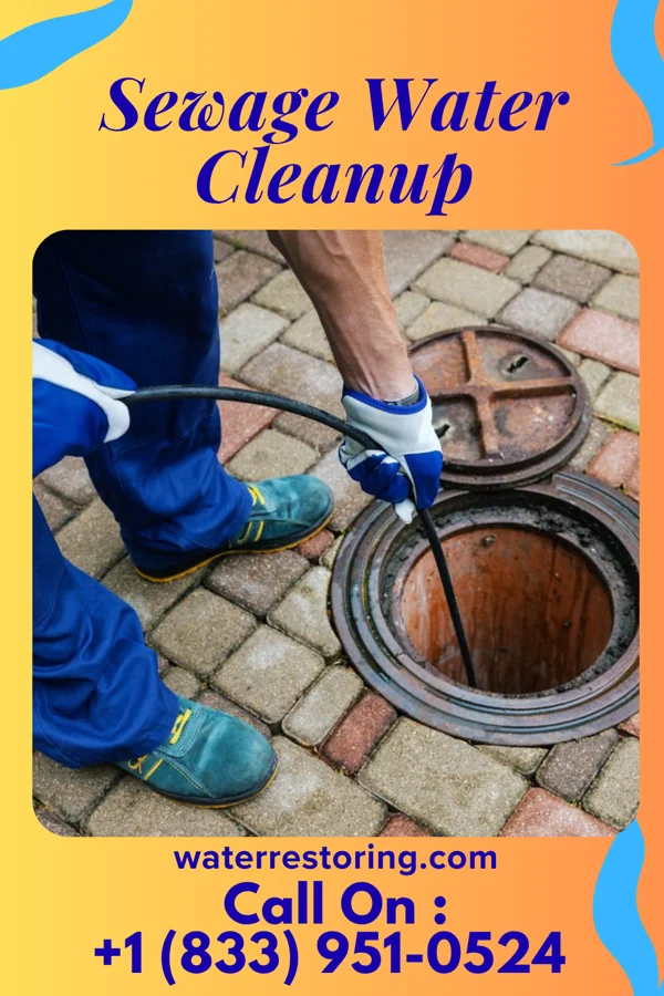 Sewage Water Cleanup in West Sunbury, PA