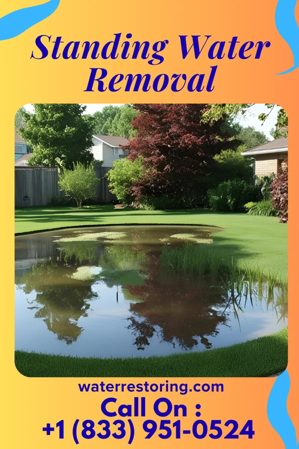 Standing Water Removal in West Sunbury, PA